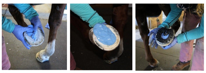 Fast Cure Two Part Silicone Putty for Better Hoof Care 0